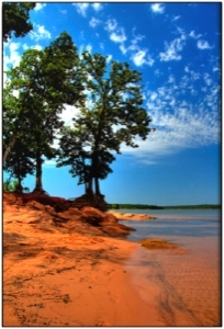 Pennwell web 204 300