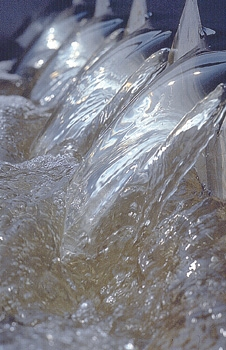 Pennwell web 227 350