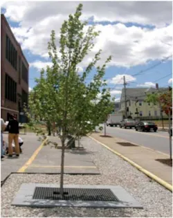 Pennwell web 300 378 Pennwell web 300 378