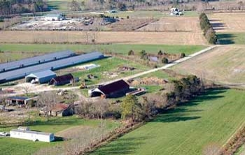 Pennwell web 350 222