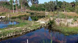 Pennwell web 400 223 Pennwell web 400 223