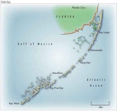 Pennwell web 400 380