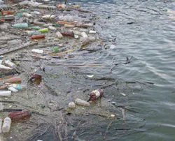 Pennwell web 450 364 Pennwell web 450 364