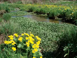 Pennwell web 500 375 Pennwell web 500 375