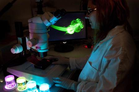 Photo Watchfrog Veolia Majani D Inguimbert