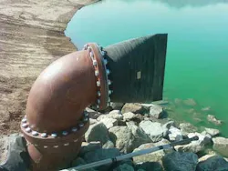 Proco 1302ww Proco 1302ww