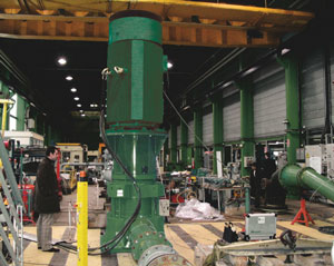 Product Review Pumps Caprar