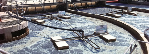 Products Mapal System Web