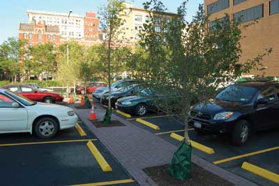 Savetherain Citylot21 1211ww