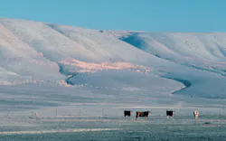 Supply 1 Nrcsca91001 California 1329 Nrcs Photo Gallery Usda Public Domain Supply 1 Nrcsca91001 California 1329 Nrcs Photo Gallery Usda Public Domain