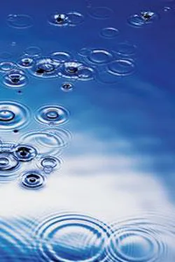 Th 0602wwi1135097 Th 0602wwi1135097