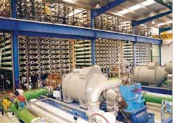 Th 0705wwispanish01 Th 0705wwispanish01