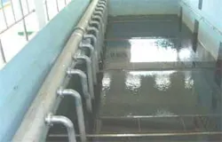 Th 0801wwifbleopold05 Th 0801wwifbleopold05