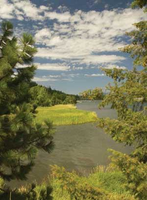 Th 0803mwwmembranebasics01