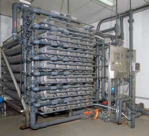 Th 0803mwwredesign01