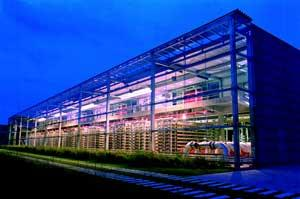 Th 0805wwilargescale01