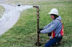 Th 1705ww110 Th 1705ww110