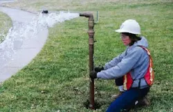 Th 1705ww110 Th 1705ww110