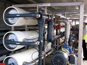 Th Anatomy Of Large 01