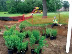 Th Ecolog 06 09 01 Th Ecolog 06 09 01