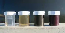 Th Getting To The Root 04 Th Getting To The Root 04