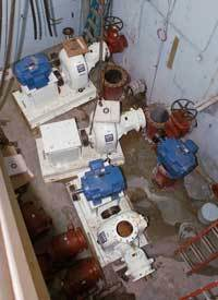 Th Gormanadvertorial