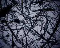 Th Np 07 09 15 Th Np 07 09 15