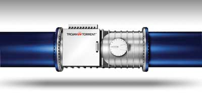 Trojan Torrent 1305ww