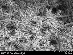 Wastewater Treatment 5 Usf Lab 1 Wastewater Treatment 5 Usf Lab 1