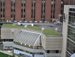 Ww Roofing Ww Roofing