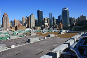 Ww Xero Flor Green Roof Xfa Javits 1b Sm