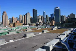 Ww Xero Flor Green Roof Xfa Javits 1b Sm Ww Xero Flor Green Roof Xfa Javits 1b Sm