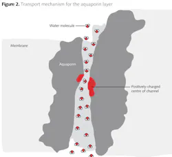 Z1206wwibd02 Z1206wwibd02