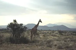 Content Dam Ww Online Articles 2016 02 Africa Content Dam Ww Online Articles 2016 02 Africa