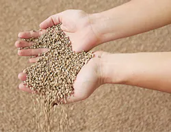 We1603 42 2 We1603 42 2