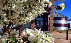 Content Dam Ww Online Articles 2016 03 Sensus Content Dam Ww Online Articles 2016 03 Sensus