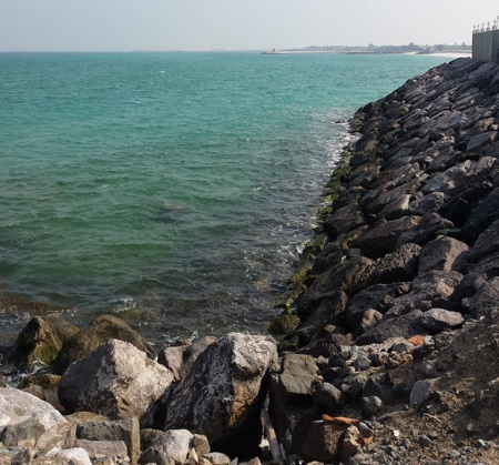 Content Dam Wwi Volume 31 Issue 2 Ghantoot 4