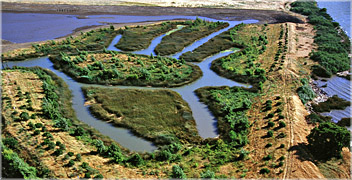 Bay Delta Source:Courthouse News