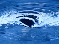 Content Dam Ww Online Articles 2016 04 Bs15034 Content Dam Ww Online Articles 2016 04 Bs15034