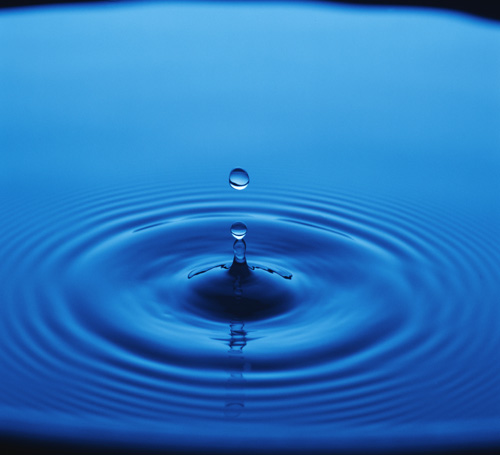 Content Dam Ww Online Articles 2016 04 Bs15040