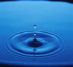 Content Dam Ww Online Articles 2016 04 Bs15040 Content Dam Ww Online Articles 2016 04 Bs15040