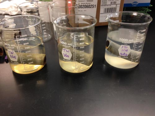 Content Dam Ww Online Articles 2016 07 A9r1xyvpfz 1aaf6o5 5co