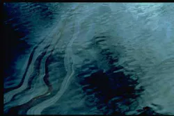 Content Dam Ww Online Articles 2016 07 Oilsheen Content Dam Ww Online Articles 2016 07 Oilsheen