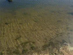 1608wwcas P04 1608wwcas P04