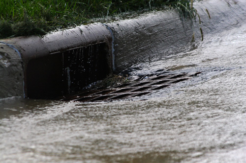 Content Dam Ww Online Articles 2016 08 Storm Drain