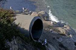 Content Dam Ww Online Articles 2016 10 Seagulls And The Water Pipe Content Dam Ww Online Articles 2016 10 Seagulls And The Water Pipe