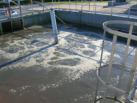 Content Dam Ww Print Articles 2016 10 1610wwft3 P01