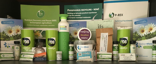 Content Dam Wwi Volume 31 Issue 6 Struviteshrine20160620