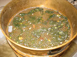 Content Dam Wwi Volume 31 Issue 6 Surface Water Microplastic Sample Undigested 2 Content Dam Wwi Volume 31 Issue 6 Surface Water Microplastic Sample Undigested 2