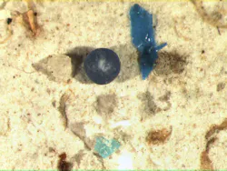 Microbead And Fragments N Shore Channel Microbead And Fragments N Shore Channel